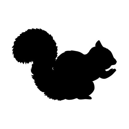 Squirrel Iron on Decal
